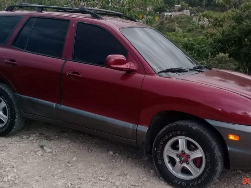 Hyundai Santa Fe  '2003